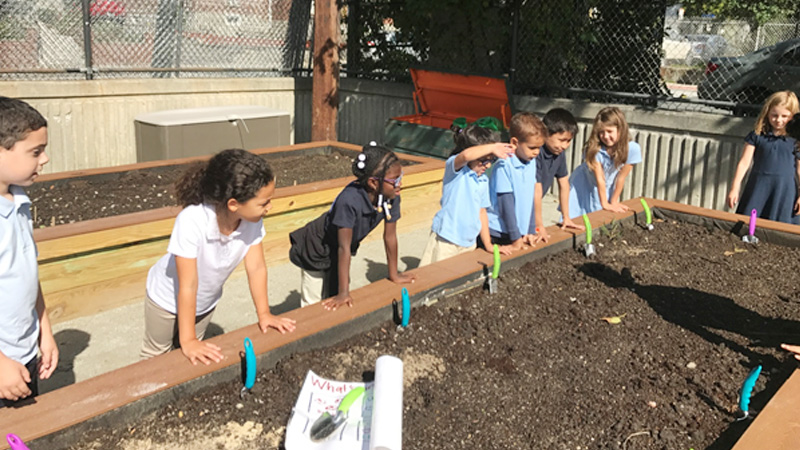 WHCIS students gardening